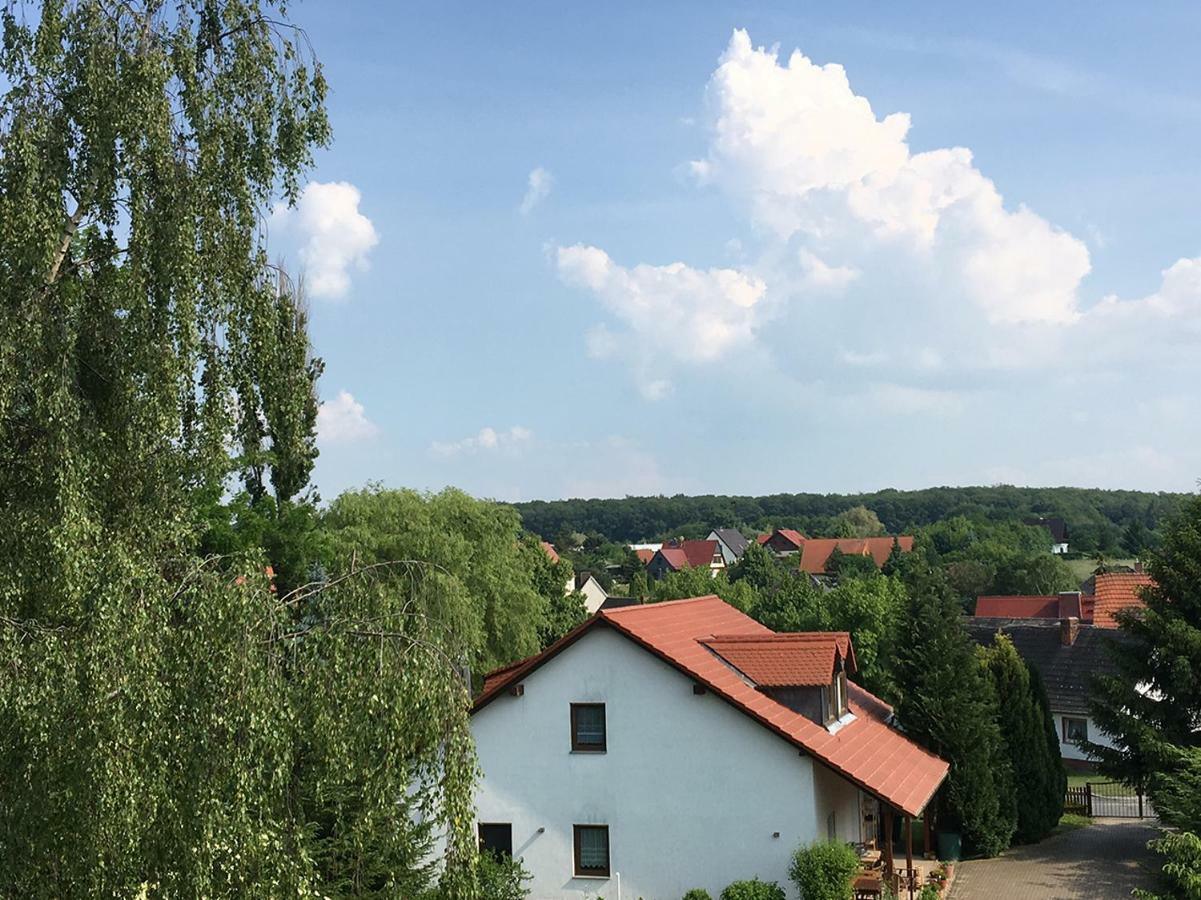 Ferienwohnung Zur Himmelsscheibe Ziegelroda Exteriér fotografie